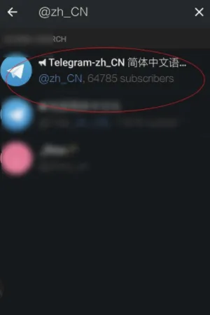telegram设置成中文